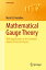 Mathematical Gauge Theory