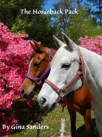 The Horseback Pack