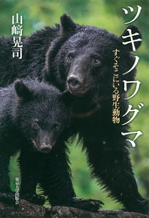 ツキノワグマ　すぐそこにいる野生動物