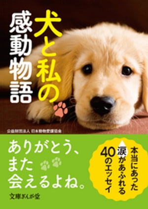 犬と私の感動物語