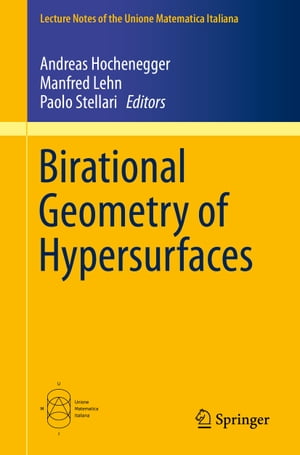 Birational Geometry of Hypersurfaces