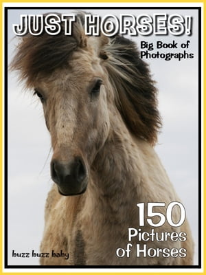 150 Pictures: Just Horse Photos! Big Book of Horse Photographs, Vol. 1