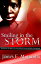 Smiling in the Storm 20 Moving Stories of AIDS Patients who Defied the DiseaseŻҽҡ[ James E. Mutumba ]