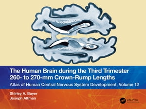 The Human Brain during the Third Trimester 260– to 270–mm Crown-Rump Lengths