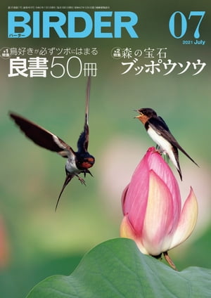 BIRDER2021年7月号