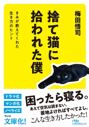 捨て猫に拾われた僕　きみが教えてくれた生き方のヒント