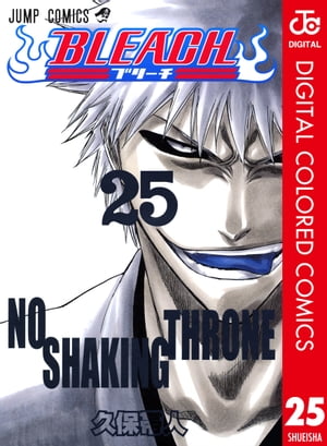 BLEACH カラー版 25