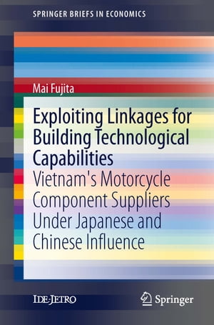 Exploiting Linkages for Building Technological Capabilities