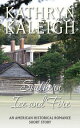 Southern Ice and Fire: An American Historical Romance Short Story【電子書籍】[ Kathryn Kaleigh ]
