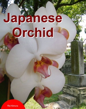 Japanese Orchid