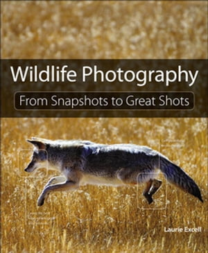 Wildlife Photography: From Snapshots to Great Shots