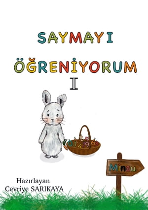 SAYMAYI ÖĞRENİYORUM 1