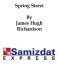 Spring Street: A Story of Los AngelesŻҽҡ[ James H. Richardson ]