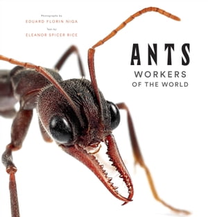 Ants Workers of the World【電子書籍】[ Eleanor Spicer Rice ]