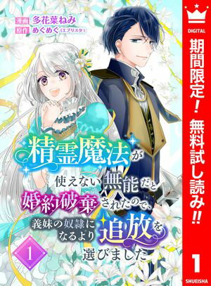 精霊魔法が使えない無能だと婚約破棄されたので、義妹の奴隷になるより追放を選びました【期間限定無料】 1