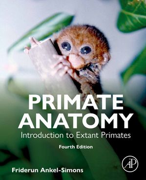 Primate Anatomy