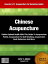 Chinese Acupuncture