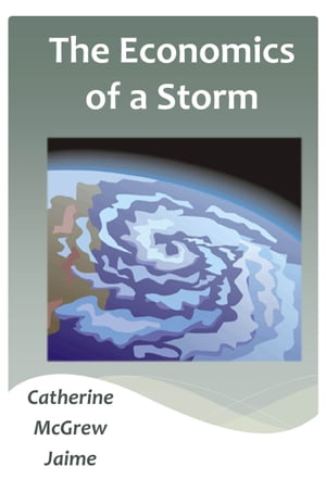 The Economics of a Storm