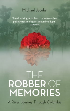 The Robber of Memories