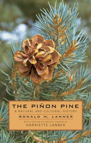 The Pinon Pine