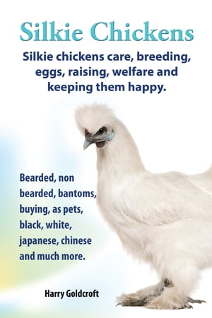 . Silkie Chickens. Silkie Chickens Care, Breeding,Eggs,Raising, Welfare And Keeping Them Happy.