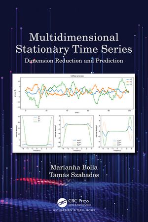 Multidimensional Stationary Time Series