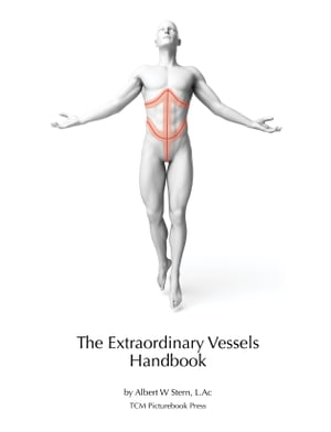 The Extraordinary Vessels Handbook