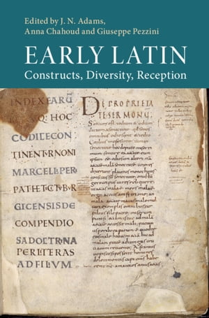 Early Latin Constructs, Diversity, Reception