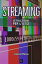 Streaming. Istruzioni per l'uso