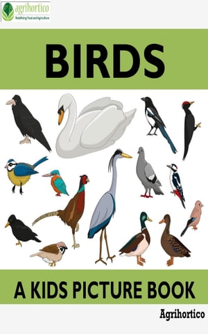 Birds: A Picture Guide