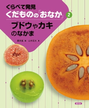 くらべて発見　くだものの「おなか」　ブドウやカキのなかま