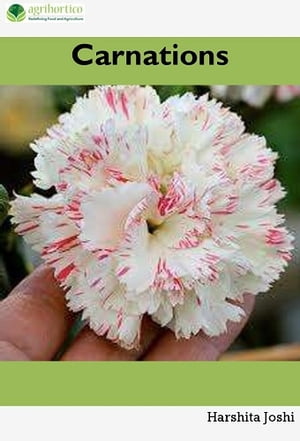 Carnations