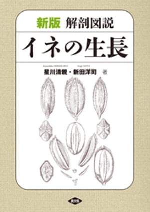 新版　解剖図説　イネの生長