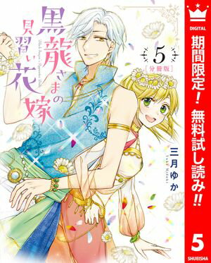 【分冊版】黒龍さまの見習い花嫁【期間限定無料】 5