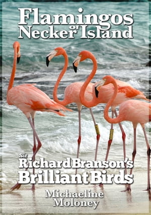 Flamingos of Necker Island