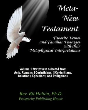 Meta-New Testament: Favorite Verses & Familiar Passages with their Metaphysical Interpretations – Volume 1