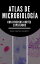 Atlas de microbiologia