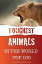 Toughest Animals In the World