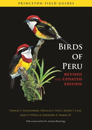 Birds of Peru