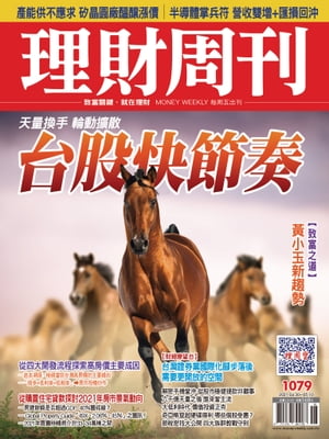 理財周刊1079期：台股快節奏