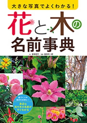 大きな写真でよくわかる！花と木の名前事典【電子書籍】[ 金田初代 ]