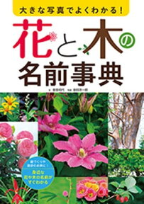 大きな写真でよくわかる！花と木の名前事典【電子書籍】[ 金田初代 ]