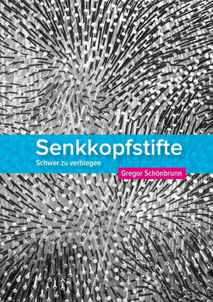 Senkkopfstifte