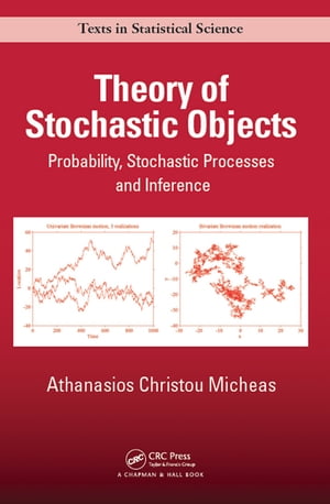 Theory of Stochastic Objects