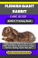 FLEMISH GIANT RABBITCARE BOOK Rabbit Training Book Complete Beginners Guide On How To Train A Rabbit From History, Characteristics, Housing, Nutrition, Breeding, Health +Much MoreŻҽҡ[ Greyson Rowan ]