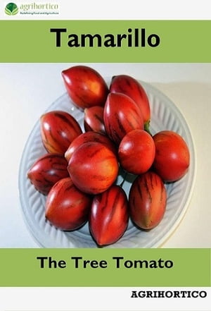 Tamarillo