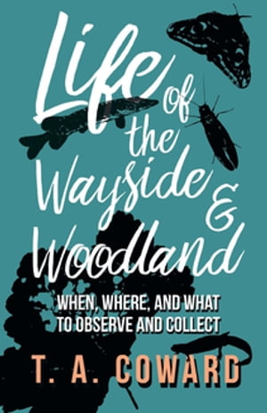 Life of the Wayside and Woodland