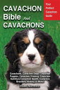 Cavachon Bible And Cavachons Your Perfect Cavachon Guide Cavachons, Cavachon Dog...