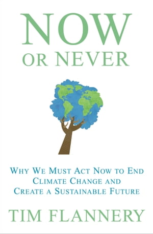 Now or Never Why We Must Act Now to End Climate Change and Create a Sustainable Future