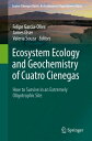 Ecosystem Ecology and Geochemistry of Cuatro Cienegas How to Survive in an Extremely Oligotrophic Site【電子書籍】